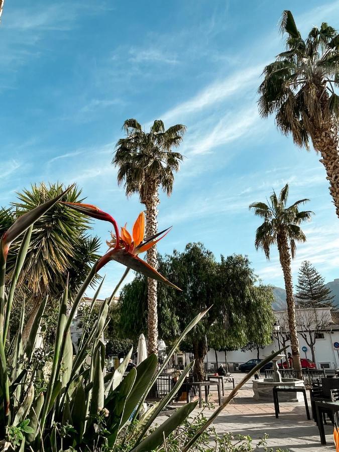Alpujarra Secret By Eme (adults Only) Appartement